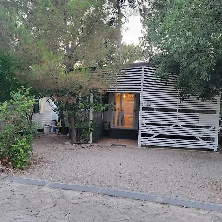 #617 Status Relax Dezela Ex 429 Biograd Na Moru