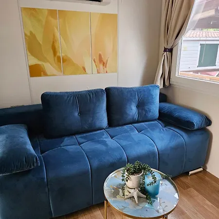 #617 Status Relax Dezela Ex 429 ביוגראד נה מורו