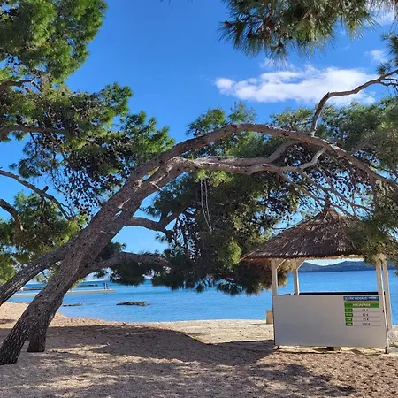 #429 Status Relax Dezela