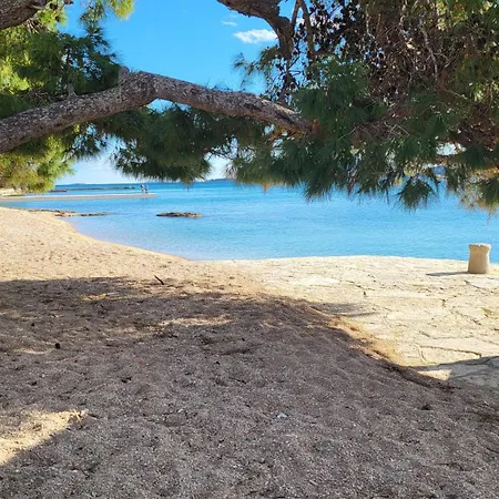 Prázdninový dům #617 Status Relax Dezela Ex 429 Biograd Na Moru