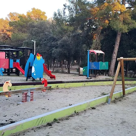 #617 Status Relax Dezela Ex 429 * Biograd Na Moru
