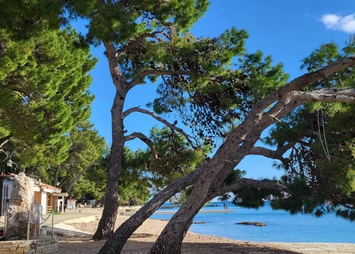 #617 Status Relax Dezela Ex 429 Biograd Na Moru