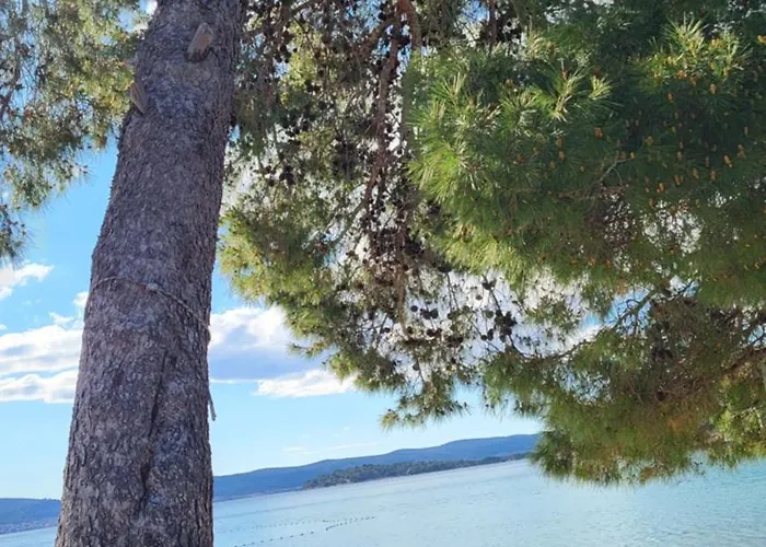 Holiday home #429 Status Relax Dezela