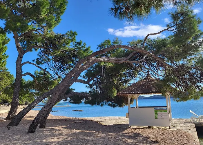 #429 Status Relax Dezela