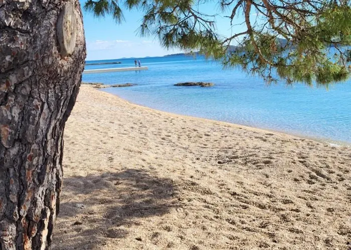 #429 Status Relax Dezela *