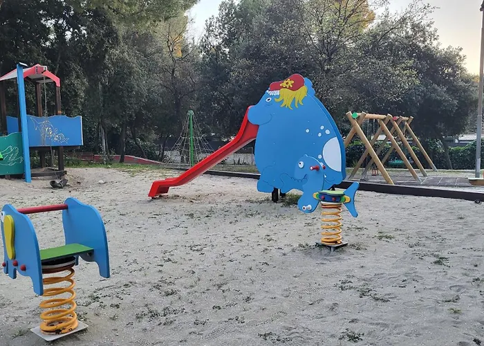 #429 Status Relax Dezela