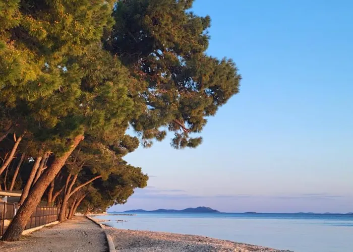 Holiday home #429 Status Relax Dezela