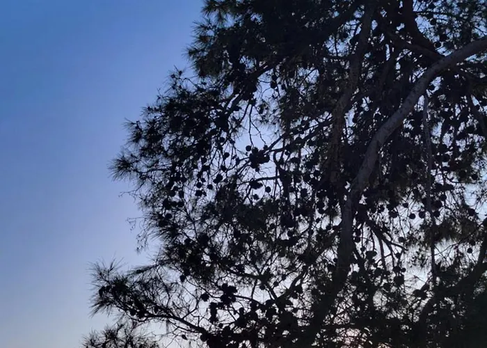 Holiday home #429 Status Relax Dezela Biograd Na Moru