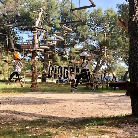 #617 Status Relax Dezela Ex 429 Biograd Na Moru