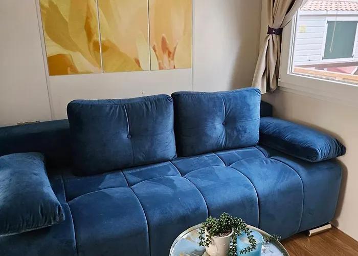 #617 Status Relax Dezela Ex 429 Biograd Na Moru