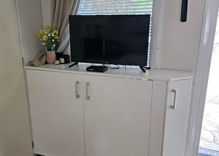 #429 Status Relax Dezela *