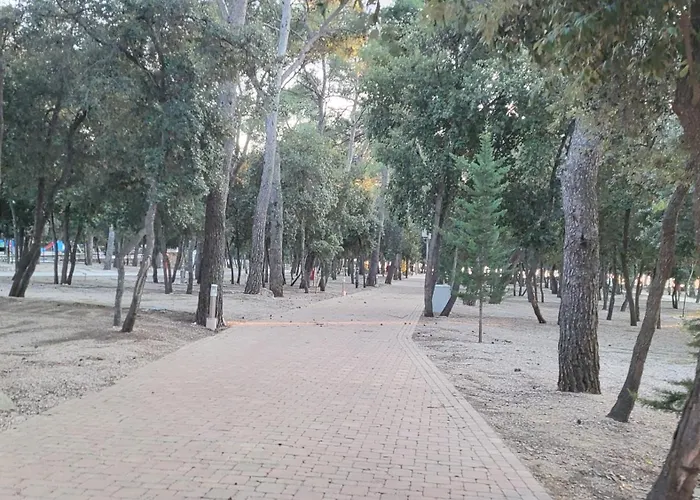 בית נופש #429 Status Relax Dezela